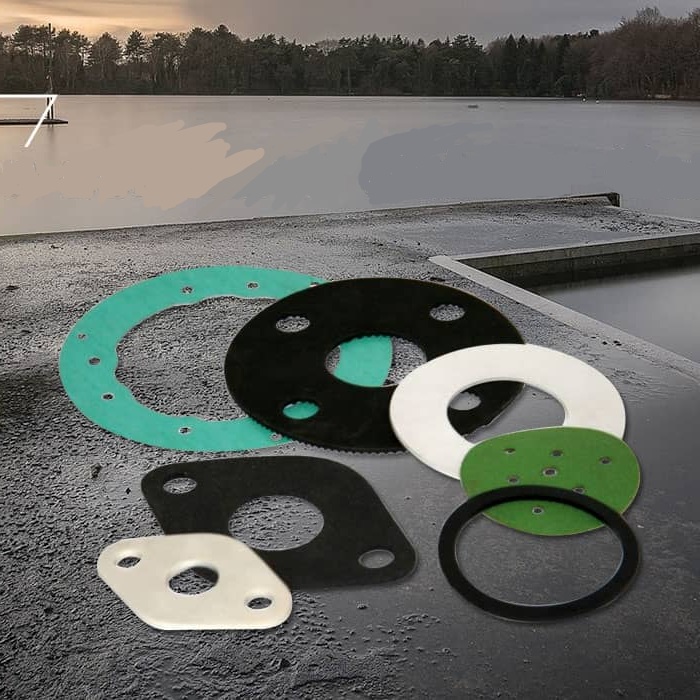 Varietetet e gaskets dhe fushëveprimi i tyre i aplikimit